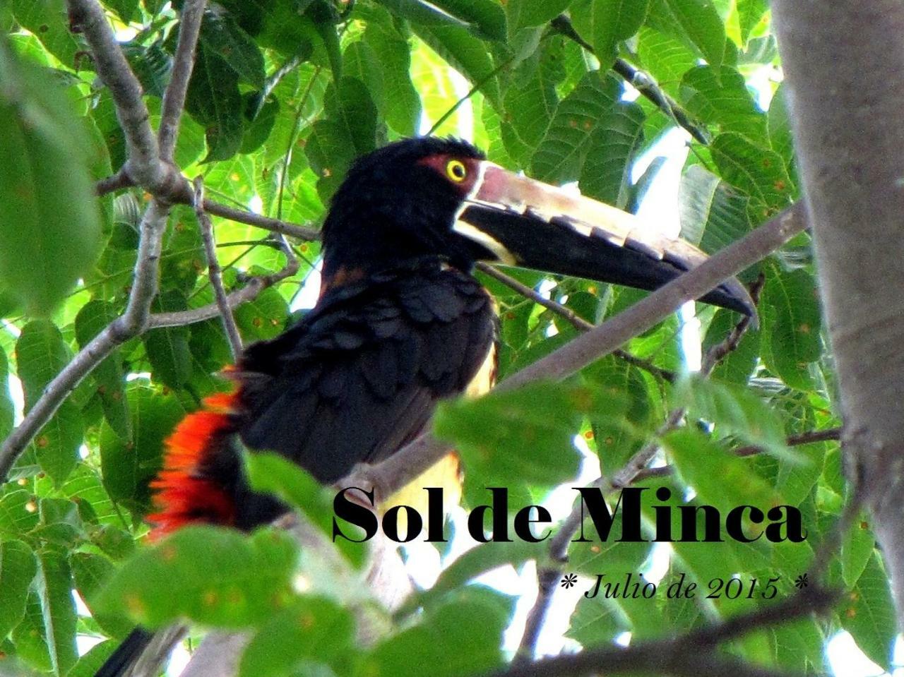 Sol De Minca Eco Lodge Exteriér fotografie